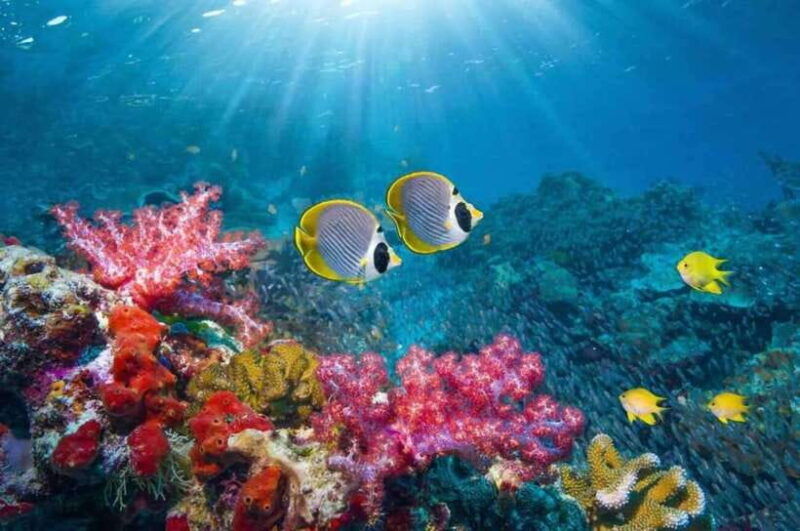 nha-trang-fantastic-tour-w-snorkeling-bbq-at-mini-beach