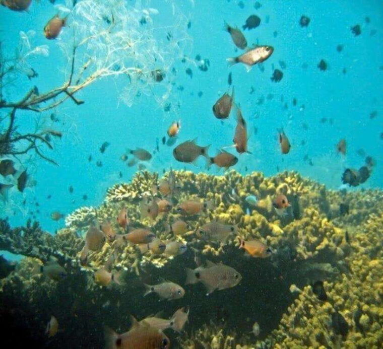 nha-trang-fantastic-tour-w-snorkeling-bbq-at-mini-beach