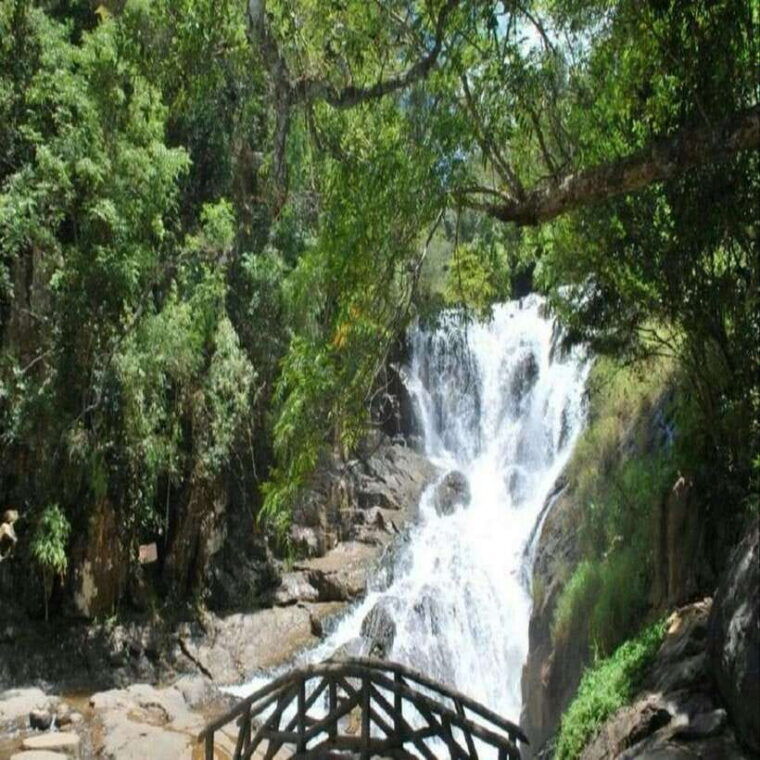 nha-trang-full-of-discover-dalat-city-2-days-sightseeing