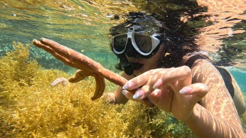 Nha Trang: Half-Day Snorkeling Adventure with BBQ Onboard - What To Expect During the Day