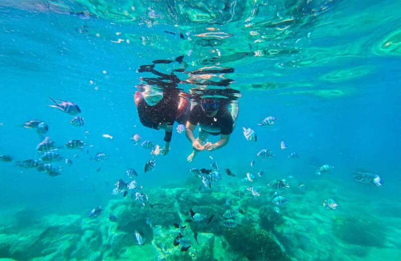 Nha Trang: Half-Day Snorkeling Adventure with BBQ Onboard - Pricing & Value