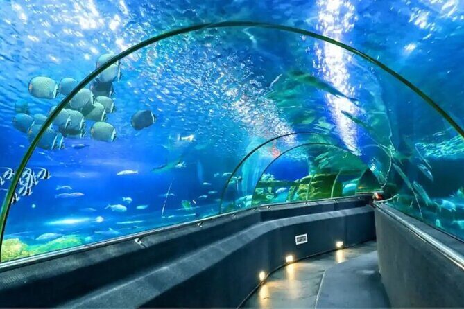 Nha Trang Half Day Tour: Best Highlights & Secret Spots - FAQ