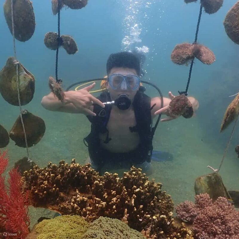 Nha Trang: Hoang Gia Pearl Museum Discovery & Pearl Diving - FAQ