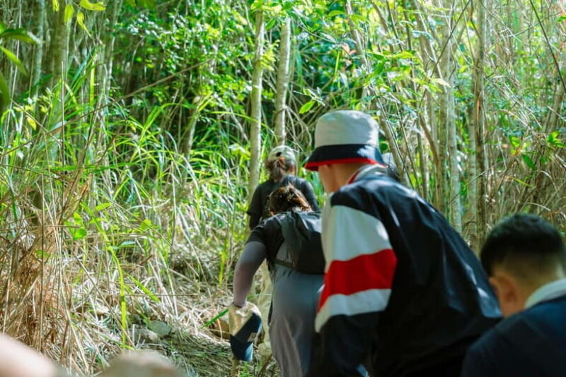 Nha Trang: Hon En Peak Hike & Paragliding Experience - Key Points