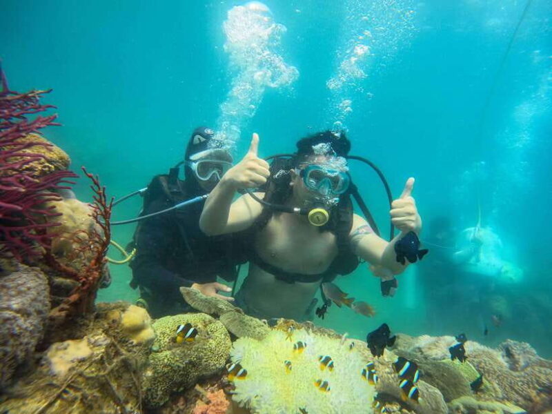 nha-trang-hon-mun-island-marine-park-snorkeling-mud-bath