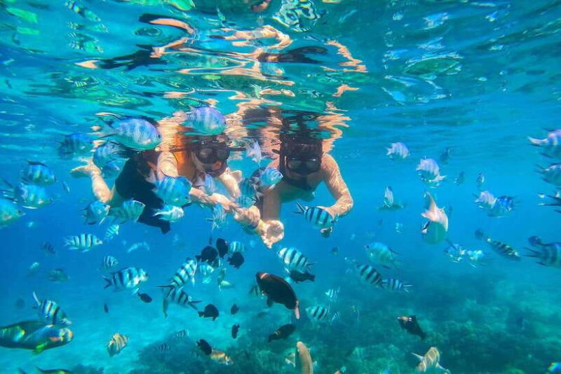 nha-trang-hon-mun-island-marine-park-snorkeling-mud-bath