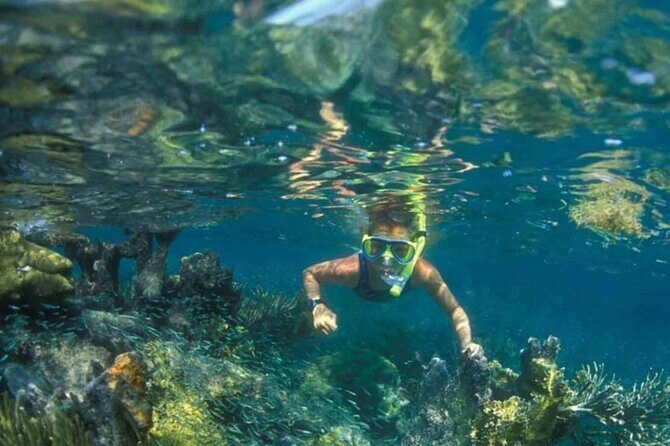 Nha Trang Island Adventure: Snorkeling, BBQ and Relaxing Mud Bath - The Ultimate Relaxation: Hon Tam Mud Bath