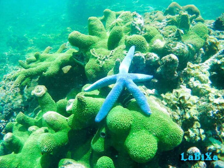 nha-trang-island-hopping-boat-tour-with-snorkeling-lunch-2