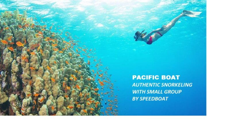 nha-trang-island-hopping-snorkeling-day-trip-by-speedboat