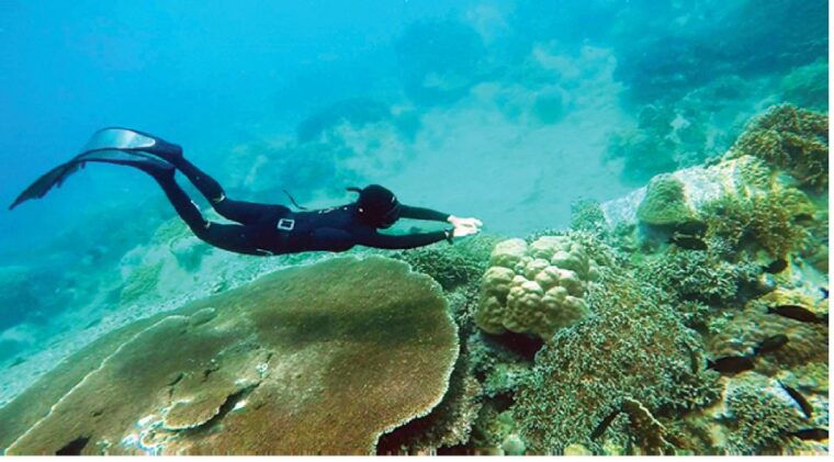 nha-trang-island-hopping-snorkeling-day-trip-by-speedboat
