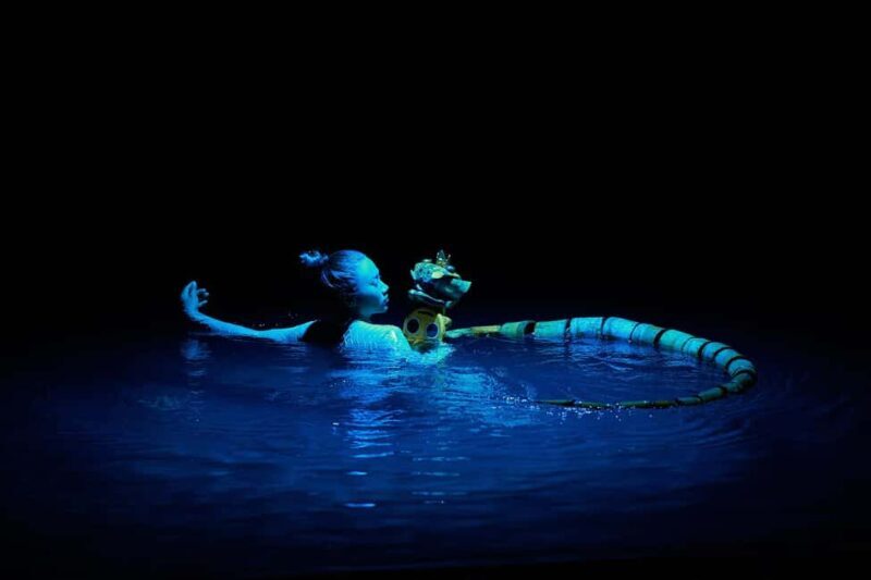 Nha Trang: Life Puppets Show Ticket at ó Theater - Key Points