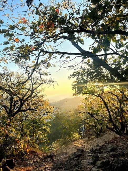 Nha Trang: Mang Den and Kon Tum 7-Day Guided Tour - Who This Tour Is Perfect For