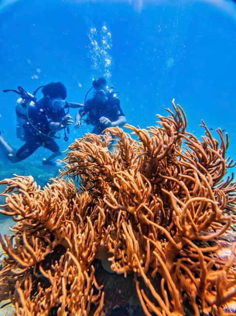 Nha Trang: Morning Bliss Catamaran Yacht Tour - FAQ