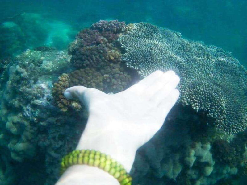 nha-trang-mun-island-con-se-tre-island-and-mini-beach