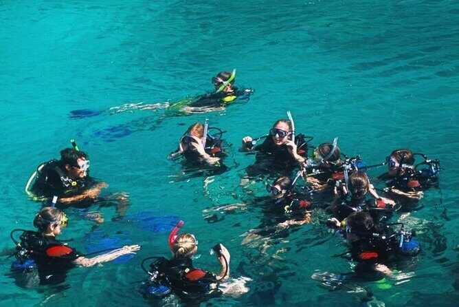 Nha Trang Mun Island Snorkeling Coral Reef Tour with BBQ Lunch - Practical Details and Tips
