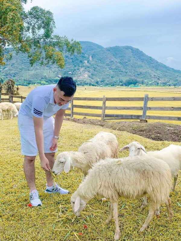 Nha Trang Ninh Thuan: Coral Coast, Grape Gardens, Suoi Tien - Practical Details and What to Know Before You Go