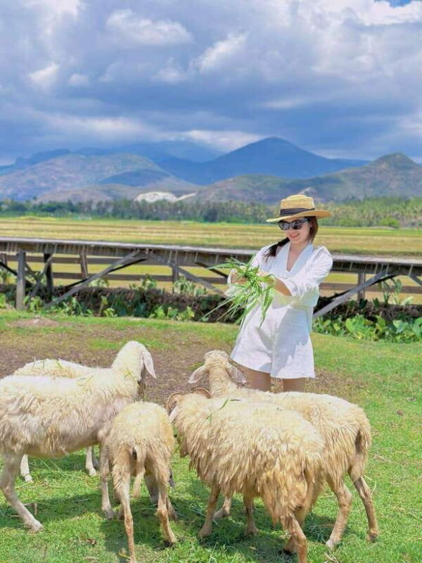 Nha Trang Ninh Thuan: Coral Coast, Grape Gardens, Suoi Tien - Authentic Insights from Reviews