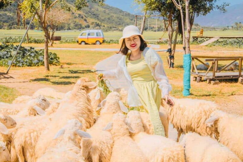 Nha Trang Ninh Thuan: Coral Coast, Grape Gardens, Suoi Tien - Frequently Asked Questions