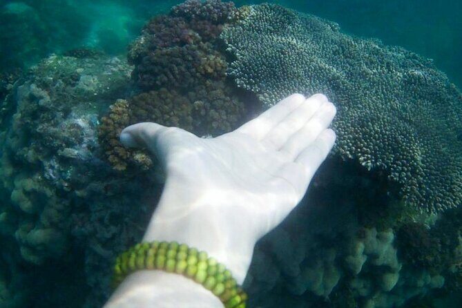 Nha Trang: Private fishing tour: Snorkeling - Fishing -Mini Beach - Final Thoughts