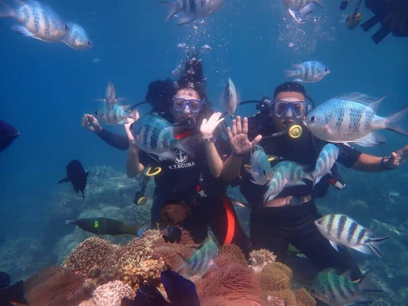 Nha Trang: Private Scuba Diving Experience with Lunch - Key Points
