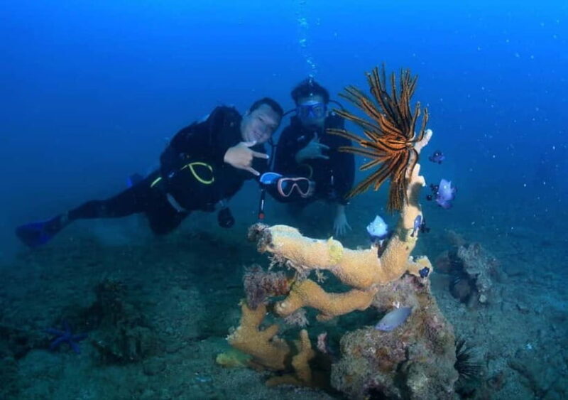 Nha Trang: Private Scuba Diving Experience with Lunch - Frequently Asked Questions