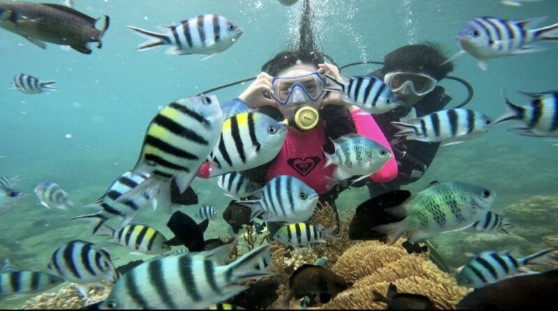 nha-trang-scuba-diving-experience-and-mun-island-snorkeling