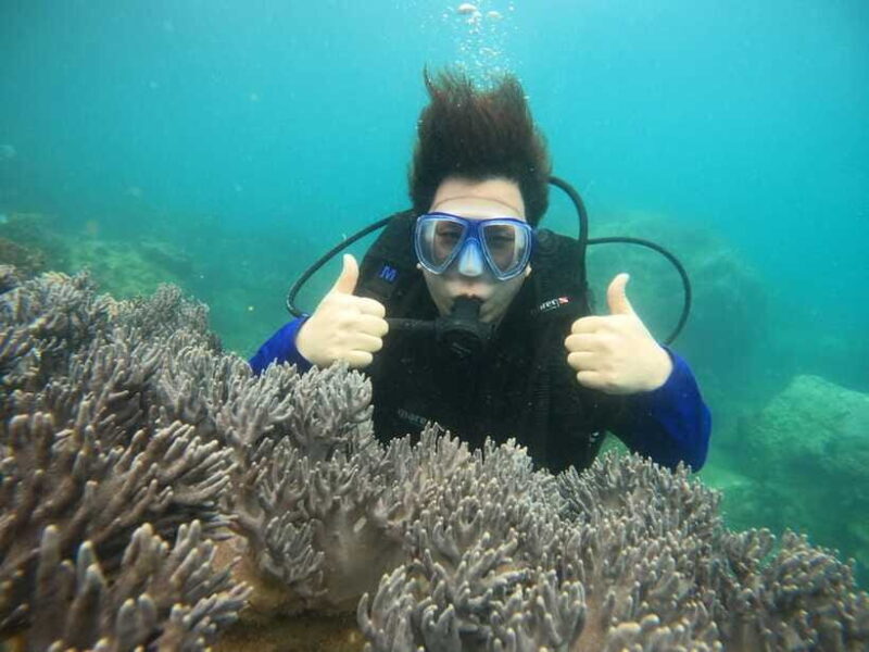 Nha Trang : Scuba diving experience for certified dive - Final Thoughts: Is It Worth It?