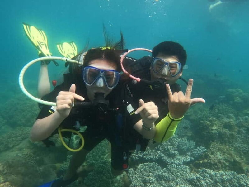 Nha Trang : Scuba diving experience for certified dive - FAQs