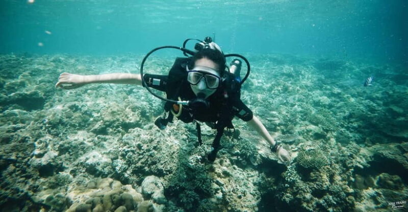 Nha Trang: Scuba Diving Tour with Lunch and Drinks - An In-Depth Look at the Nha Trang Scuba Diving Tour