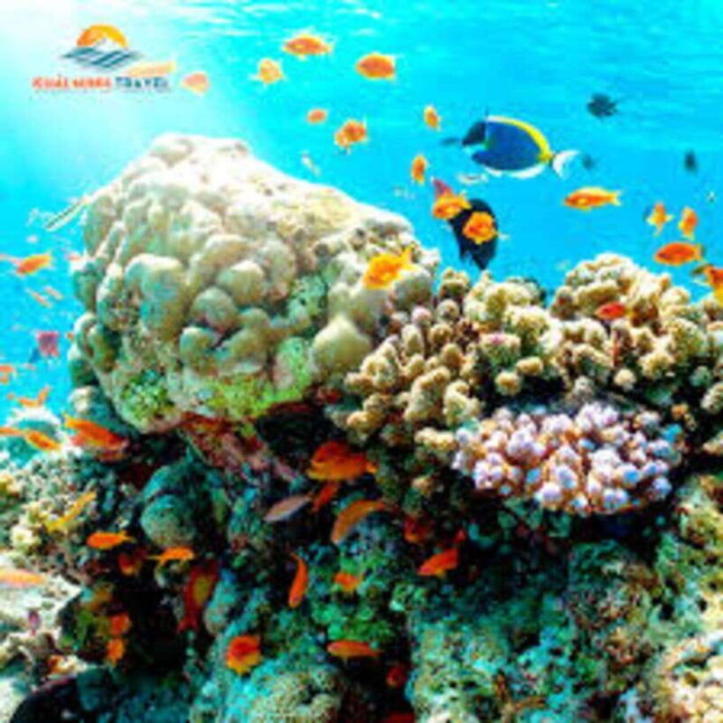 nha-trang-sea-walking-and-snorkeling-tour-with-lunch