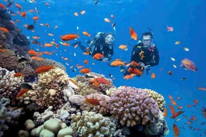 nha-trang-snorkeling-at-marine-park-and-enjoying-lunch