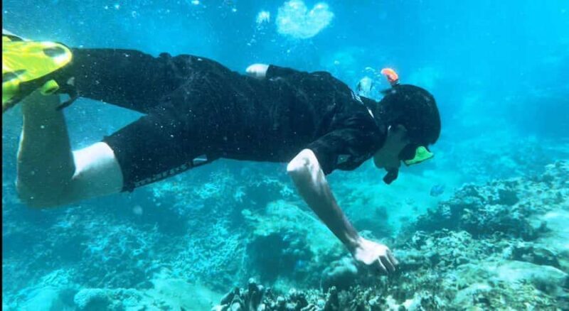 Nha Trang: Snorkeling at Marine Park with Lunch - An In-Depth Look at the Snorkeling Tour in Nha Trang