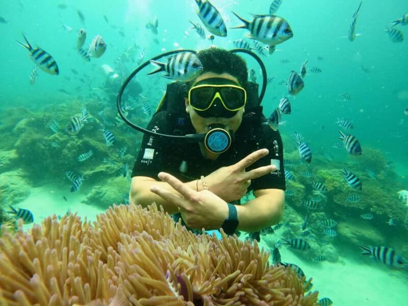 Nha Trang: Snorkeling at Marine Park with Lunch - Practical Details and Tips