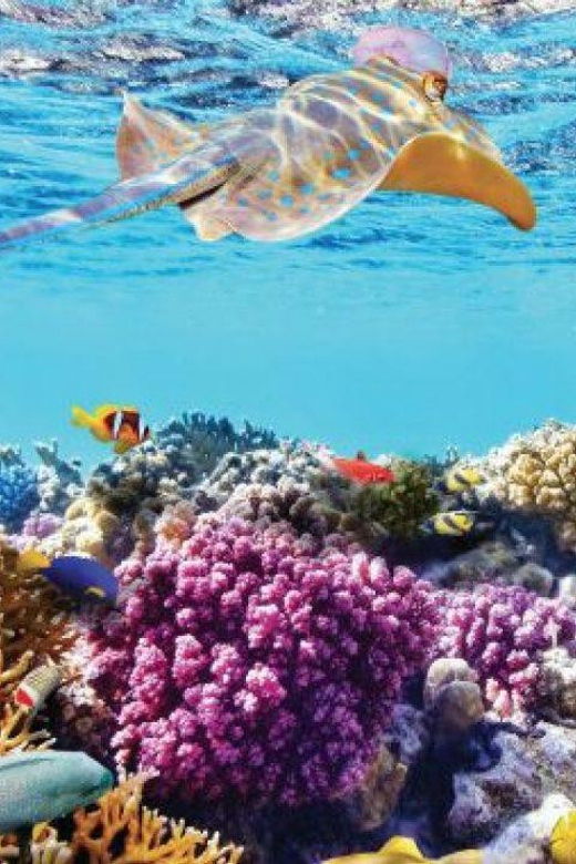 nha-trang-snorkeling-mun-island-and-mini-beach-day-trip