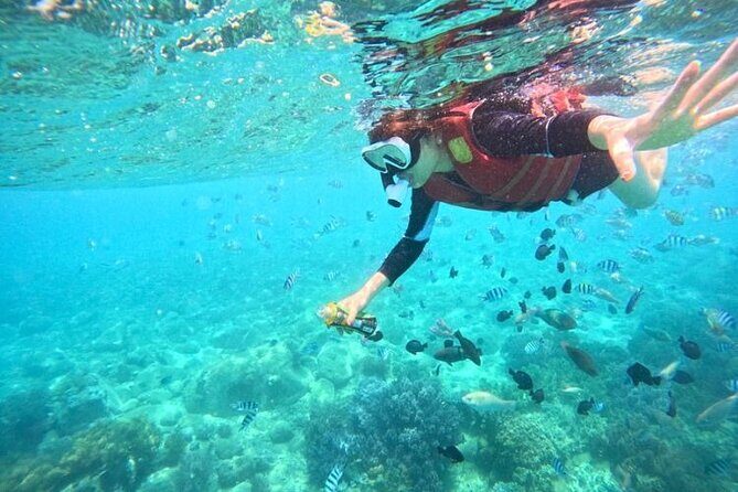 Nha Trang Snorkeling: Mun Island & Coral Reefs - Key Points