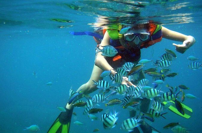 Nha Trang Snorkeling: Mun Island & Coral Reefs - Who Should Consider This Tour?