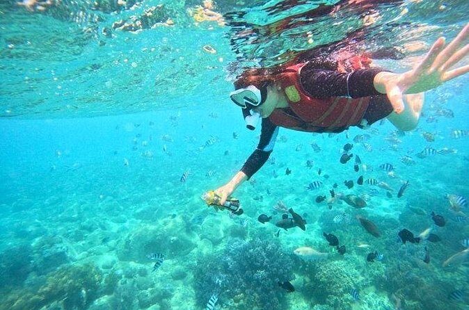Nha Trang Snorkeling: Mun Island & Coral Reefs - FAQ