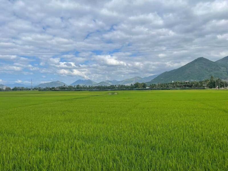 Nha Trang to Da Lat: 1-Day Tour Motorbike or Minivan - Final Thoughts