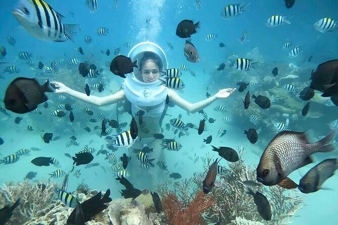 Nha Trang Underwater Adventure with Sea Walking and Local Cuisine - The Marine Adventure: What to Expect