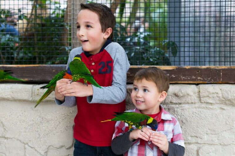 niagara-falls-canada-bird-kingdom-entry-ticket