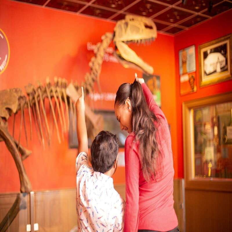 niagara-falls-ripleys-believe-it-or-not-museum-entry