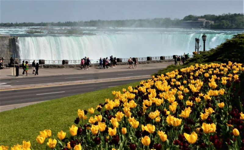 niagara-falls-tour-with-skip-the-line-cruise