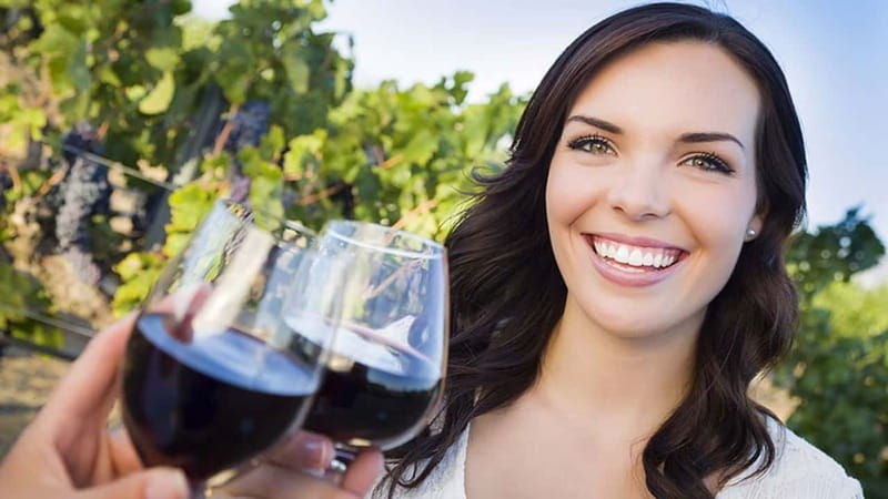 niagara-on-the-lake-sunset-wine-tour-with-dinner