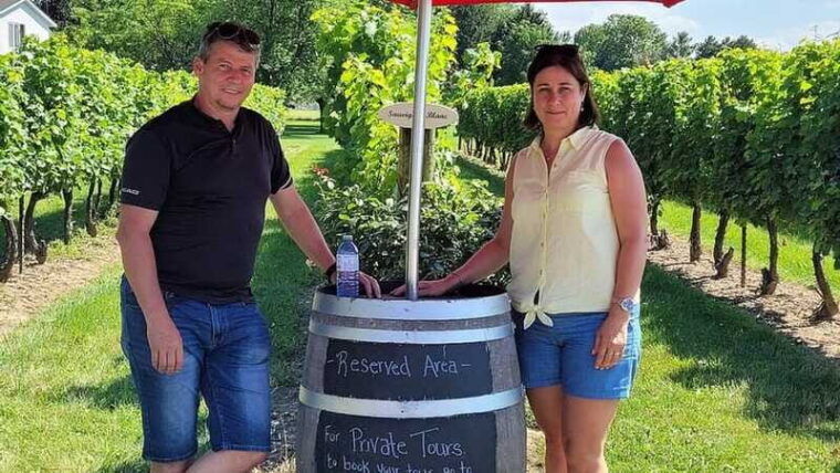 niagara-on-the-lake-sunset-wine-tour-with-dinner