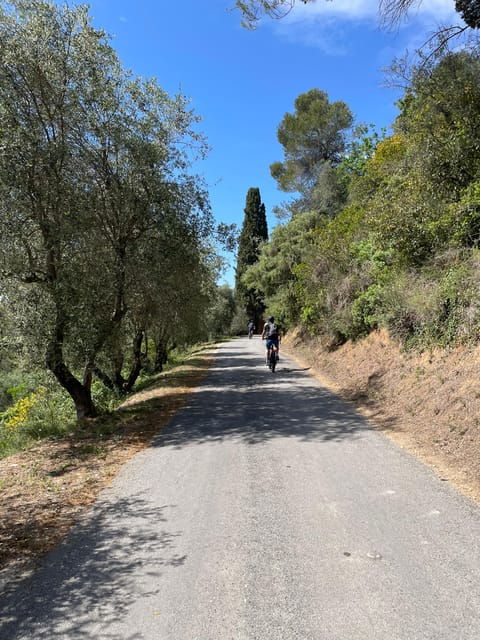 nice-bellet-vineyards-e-bike-tour-with-wine-tasting