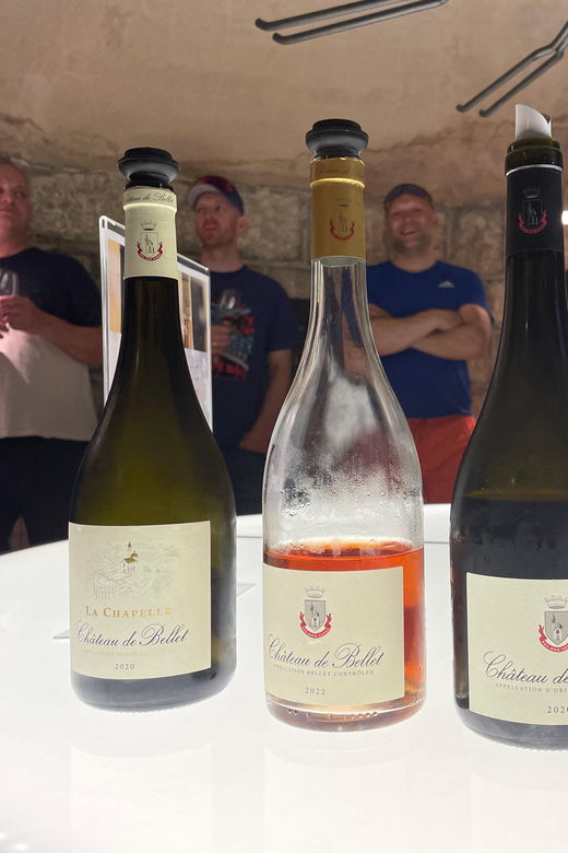 nice-bellet-vineyards-e-bike-tour-with-wine-tasting