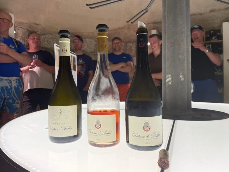 nice-bellet-vineyards-e-bike-tour-with-wine-tasting