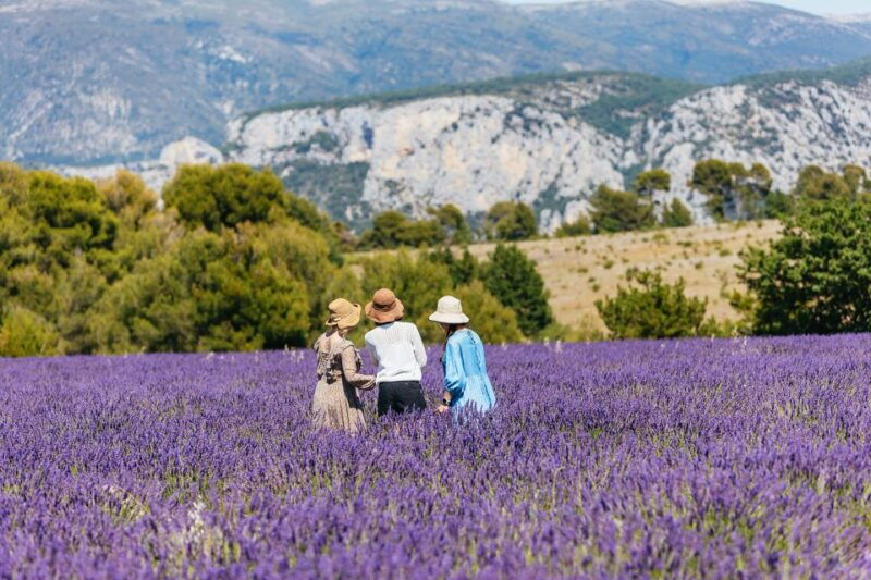 nice-gorges-of-verdon-and-fields-of-lavender-tour-2