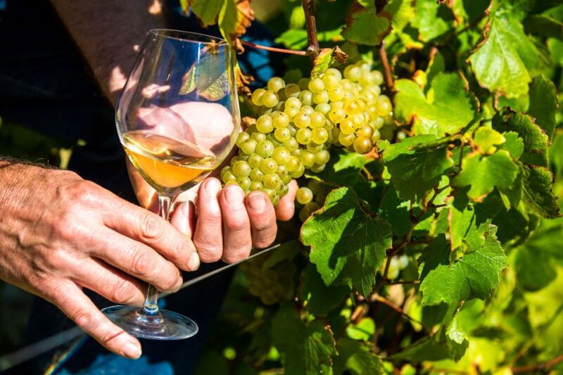 nice-provence-village-tour-with-wine-and-produce-tasting