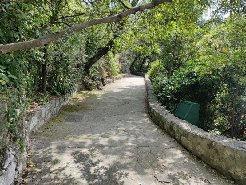 nice-sightseeing-walking-tour-with-certified-tour-guide
